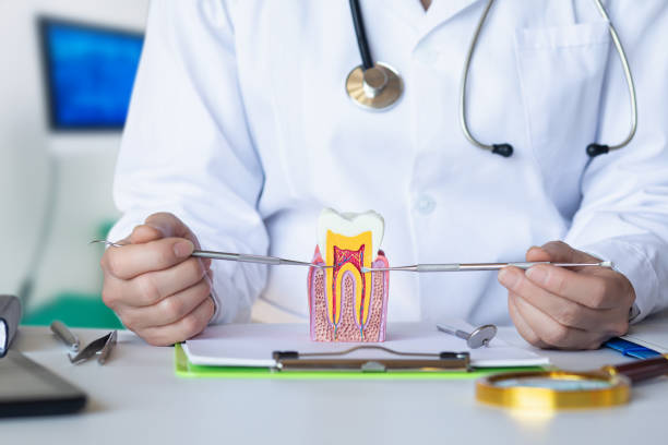 Best Root Canal Emergency Dentist  in New Brighton, MN
